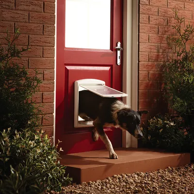 PetSafe® Staywell® Husdyrluke Original