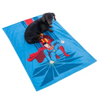 Chien couché sur une couverture bleue avec illustration de Superman en costume rouge et bleu, cape rouge visible. Matière textile.