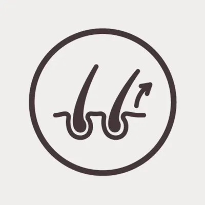 Symbol für Haarwachstum mit zwei Haarfollikeln und einem Pfeil nach oben.