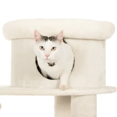 Witte en zwarte kat in een ronde opening van een beige krabpaal met pluche bekleding, kat kijkt naar voren. Materiaal: stof.