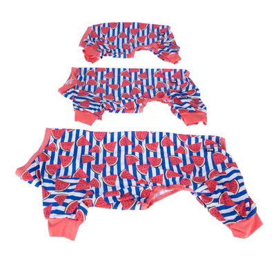 Drei Grössen von Hundebekleidung mit Wassermelonenmuster und blau-weissen Streifen, roter Rand an den Ärmeln und Beinen.