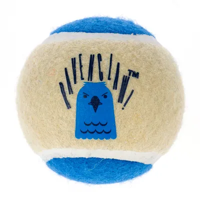 Hrací míček s modrým a béžovým designem, nápis 'Ravenclaw' a modrý motiv ptáka.