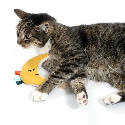 Cat playing with yellow fabric toy shaped like a crescent moon with embroidered face and colourful ribbons.