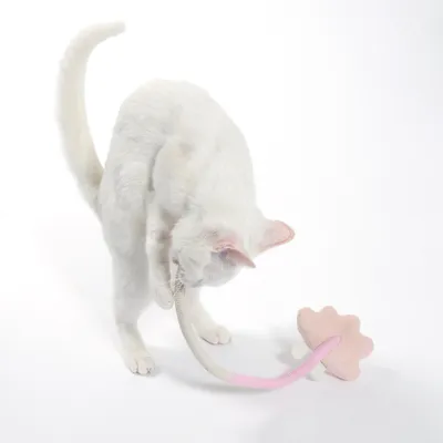 Weisse Katze spielt mit einem rosa Spielzeug in Form einer Wolke, verbunden mit einem flexiblen Stoffschlauch.