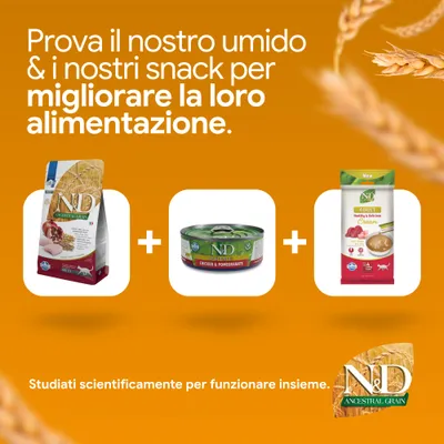 N&D Ancestral Grain crocchette, N&D Prime Chicken & Pomegranate alimento umido e N&D adult cream snack. Sviluppato scientificamente per un effetto sinergico. N&D Ancestral Grain crocchette, N&D Prime Chicken & Pomegranate alimento umido e N&D adult cream snack. Sviluppato scientificamente per un effetto sinergico.
