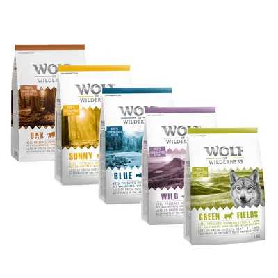 Wolf of Wilderness hondenvoer, 5 varianten: Oak, Sunny, Blue, Wild, Green Fields. Op elke verpakking staat '100% grain-free recipe' en informatie over ingrediënten in het Engels.