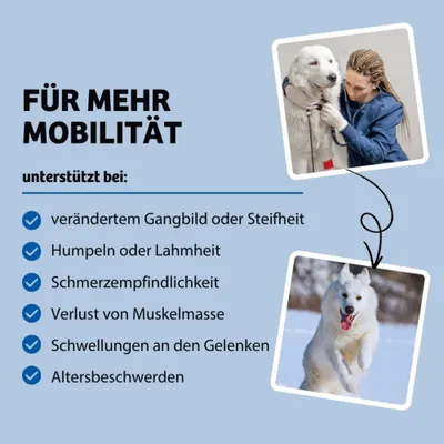 Für mehr Mobilität, unterstützt bei verändertem Gangbild oder Steifheit, Humpeln oder Lahmheit, Schmerzempfindlichkeit, Verlust von Muskelmasse, Schwellungen an den Gelenken, Altersbeschwerden. Für mehr Mobilität, unterstützt bei verändertem Gangbild oder Steifheit, Humpeln oder Lahmheit, Schmerzempfindlichkeit, Verlust von Muskelmasse, Schwellungen an den Gelenken, Altersbeschwerden.