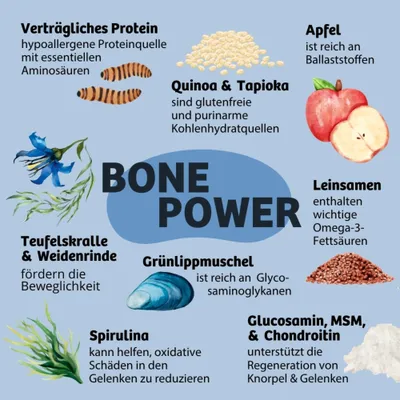 BONE POWER: Verträgliches Protein, Quinoa & Tapioka, Apfel, Leinsamen, Teufelskralle & Weidenrinde, Grünlippmuschel, Spirulina, Glucosamin, MSM & Chondroitin mit jeweiliger Funktion. BONE POWER: Verträgliches Protein, Quinoa & Tapioka, Apfel, Leinsamen, Teufelskralle & Weidenrinde, Grünlippmuschel, Spirulina, Glucosamin, MSM & Chondroitin mit jeweiliger Funktion.