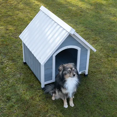 Casinha de cão cinzenta com telhado branco de madeira, colocada num relvado. Um cão de porte médio está sentado ao lado da casinha.