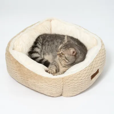 Katzenbett aus beigem Stoff mit weicher, weisser Innenpolsterung. Graue Katze liegt entspannt darin.