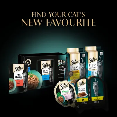 Sheba cat food range: Fine Flakes with Beef, Select Slices Fish Selection, Fresh Cuisine, Fresh & Fine in Gravy, Nature's Collection with Salmon, Perfect Portions with Chicken. Sheba cat food range: Fine Flakes with Beef, Select Slices Fish Selection, Fresh Cuisine, Fresh & Fine in Gravy, Nature's Collection with Salmon, Perfect Portions with Chicken.