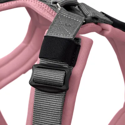 Detailaufnahme eines rosa und grauen Geschirrs mit verstellbarem Gurt und schwarzer Schnalle.