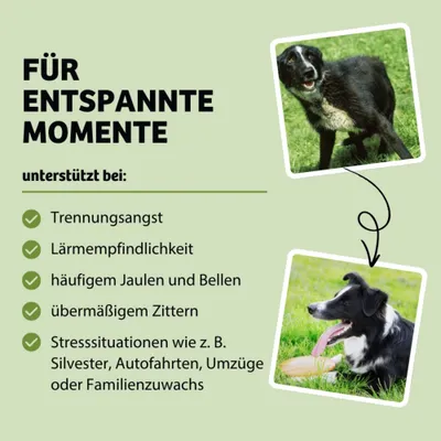 Für entspannte Momente. Unterstützt bei Trennungsangst, Lärmempfindlichkeit, häufigem Jaulen und Bellen, übermäßigem Zittern, Stresssituationen wie Silvester, Autofahrten, Umzüge. Für entspannte Momente. Unterstützt bei Trennungsangst, Lärmempfindlichkeit, häufigem Jaulen und Bellen, übermäßigem Zittern, Stresssituationen wie Silvester, Autofahrten, Umzüge.