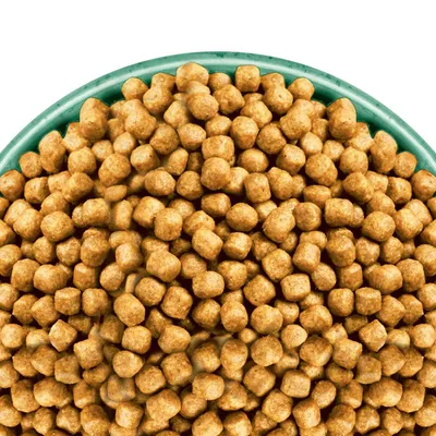 Vue rapprochée de croquettes marron dans une gamelle verte, sans marque ni texte visible.