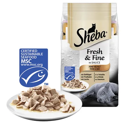 Sheba Fresh & Fine in Sauce, sachet avec morceaux en sauce sur assiette, texte visible : à la volaille, à la dinde, au saumon. Label MSC Certified Sustainable Seafood.