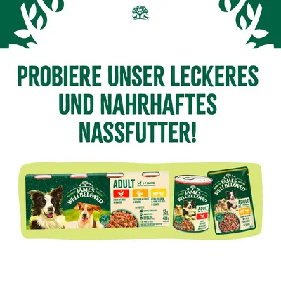 Texte en allemand : 'Probiere unser leckeres und nahrhaftes Nassfutter!' Emballages James Wellbeloved Adult 1–7 Jahre, pâtée pour chien, poulet, agneau, légumes, boîtes et sachets visibles.