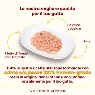 Almo Nature HFC Jelly in buste 6 x 55 g