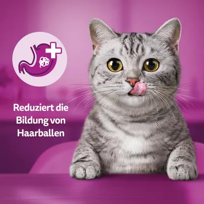 Besedilo v nemščini: Reduziert die Bildung von Haarballen. Ikona želodca z lasno kepo in plusom, siva mačka na vijoličnem ozadju. Besedilo ni prevedeno.