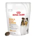 Royal Canin Skin & Coat Adult Supplement Chews