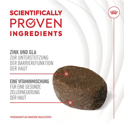 Royal Canin Skin & Coat Adult Supplement žvečilni prigrizki