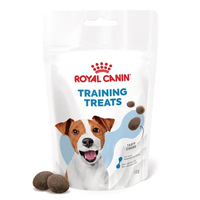Sachet de friandises pour chien Royal Canin Training Treats, 110 g. Texte visible : faible teneur en calories, DHA + vitamines C & E, Tasty Chews. Photo d’un chien et des friandises.