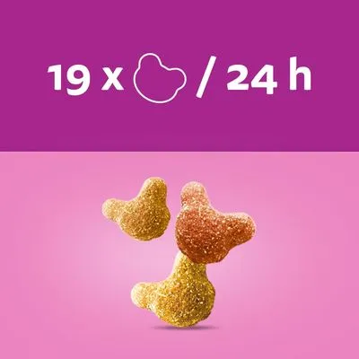 Voedingsadvies: 19 stuks brokjes per 24 uur, met drie gekleurde brokjes afgebeeld op een roze achtergrond.