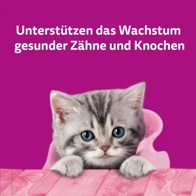 Unterstützen das Wachstum gesunder Zähne und Knochen.