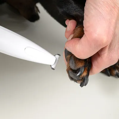 kooa Paw Trimmer