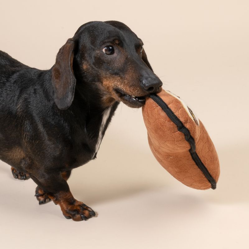 TIAKI Hundespielzeug Faultier