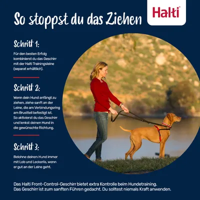 Anleitung: So stoppst du das Ziehen. Schritt 1: Geschirr mit Halti Trainingsleine kombinieren. Schritt 2: Sanft an der Leine ziehen, um Hund zu lenken. Schritt 3: Belohne gutes Verhalten.
