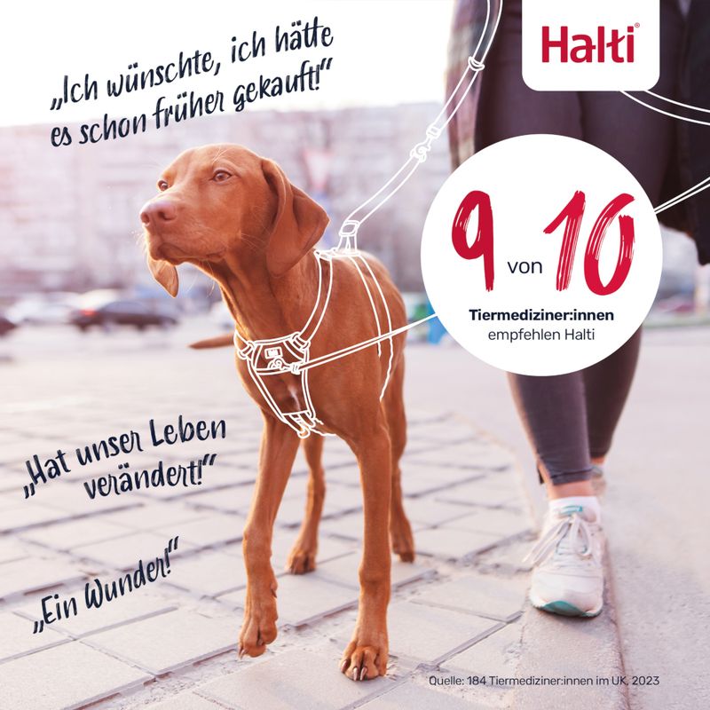 Halti. 9 von 10 Tiermediziner:innen empfehlen Halti. Zitate: 'Ich wünschte, ich hätte es schon früher gekauft!', 'Hat unser Leben verändert!', 'Ein Wunder!'. Quelle: 184 Tiermediziner:innen UK 2023.