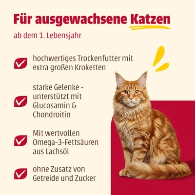animonda Carny Large Breed Huhn + Lachs animonda Carny Large Breed Huhn + Lachs
