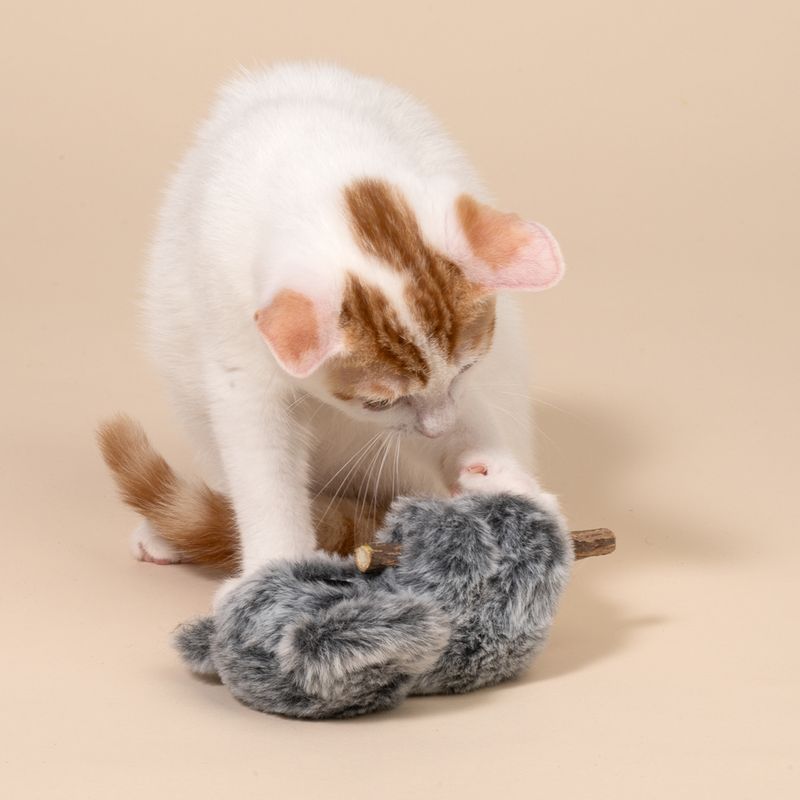 TIAKI Katzenspielzeug Koala mit Silvervine-Stöckchen