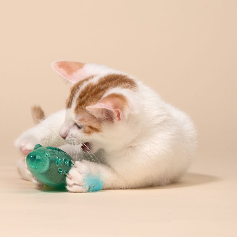 TIAKI Maus mit Katzenminzeball und Federn