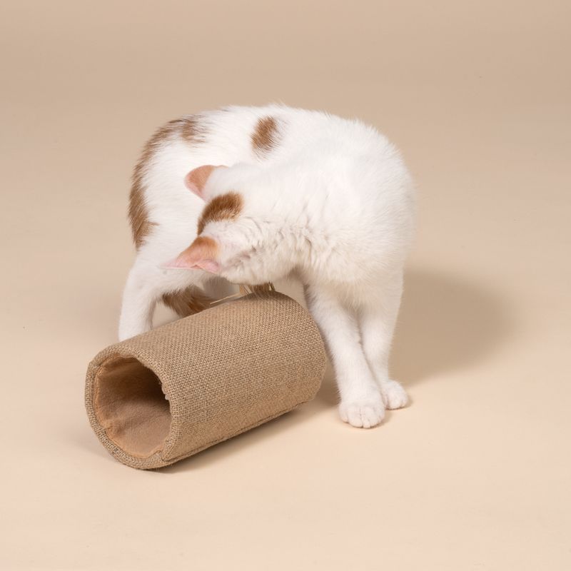 TIAKI Katzenspielzeug Roller mit Maus Roquefort