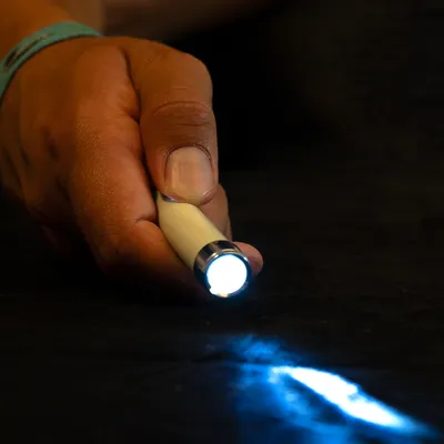 zooplus Basics LED показалка