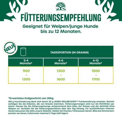 Fütterungsempfehlung für Welpen/junge Hunde bis zu 12 Monaten. Tagesportion in Gramm: 2-4 Monate 900-1300g, 4-6 Monate 1300-1600g, 6-12 Monate 1500-1700g. Erwartetes Endgewicht 20kg.