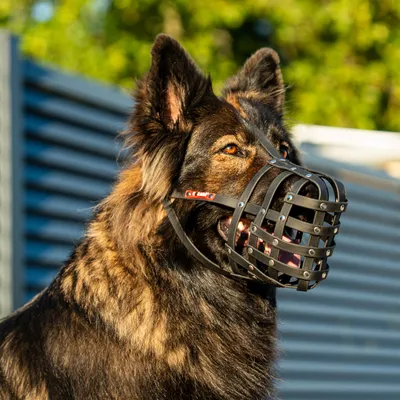 COLORI® 2.0 Maulkorb Schäferhund L, schwarz COLORI® 2.0 Maulkorb Schäferhund L, schwarz