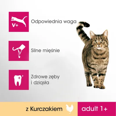 Odpowiednia waga, silne mięśnie, zdrowe zęby i dziąsła. Z kurczakiem. adult 1+