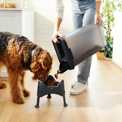 Hond eet brokken uit een verhoogde voerbak terwijl persoon hondenvoer uit een grote plastic container in de bak giet. Voercontainer en voerbak zijn beide zichtbaar.