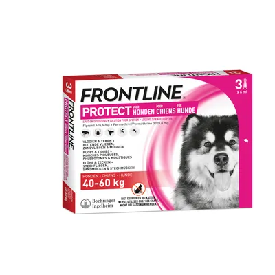 Frontline Protect solution à appliquer pour chiens 40-60 kg. Efficace contre les puces, tiques, moustiques et autres parasites. Ne pas utiliser chez les chats. Boîte de 3 x 6 ml.