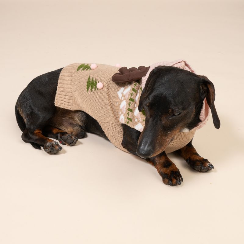 TIAKI Rentier-Pullover für Hunde