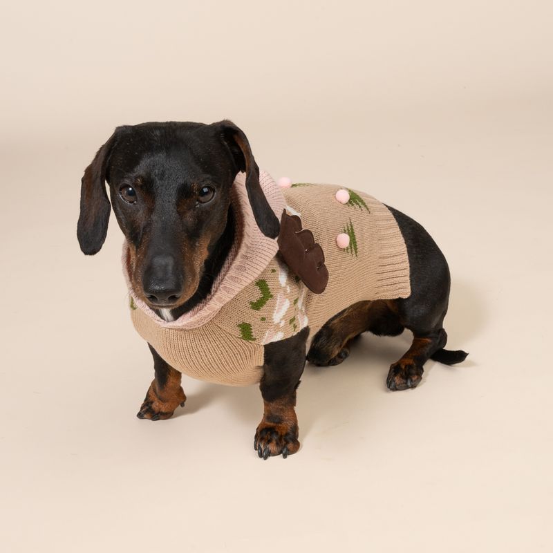 TIAKI Rentier-Pullover für Hunde