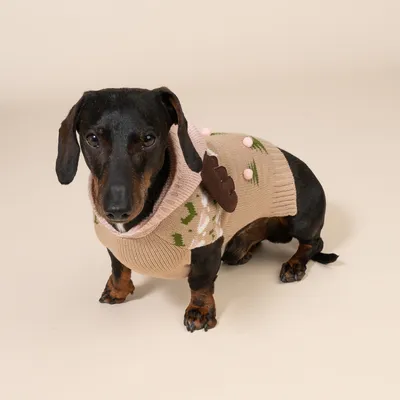 TIAKI Pulover ren pentru câini