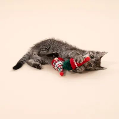 TIAKI kattenspeelset kerst elfen