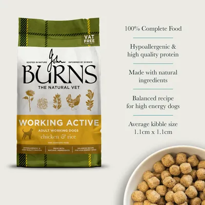 Burns Working Active - Chicken & Rice - Economy Pack: 2 x 12kg