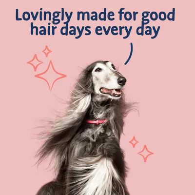 Text reads: Lovingly made for good hair days every day, with an image of a long-haired dog and decorative sparkles.