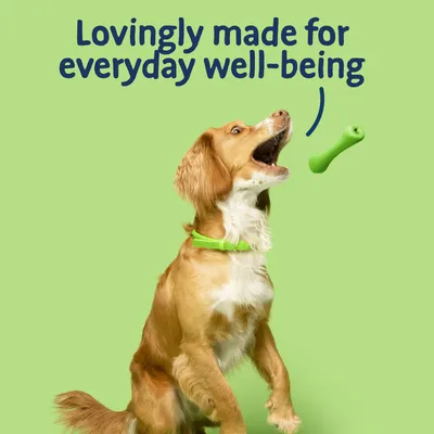 Text reads: Lovingly made for everyday well-being. Image shows a dog reaching for a green bone-shaped treat.