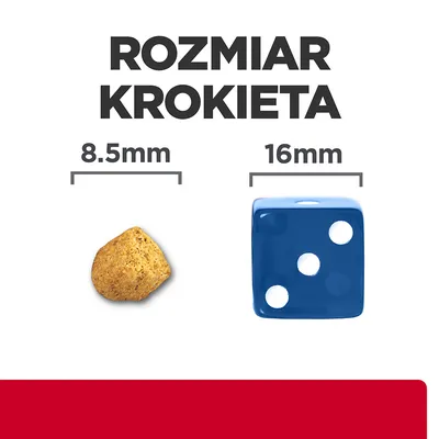 Rozmiar krokieta: 8,5 mm obok kostki do gry 16 mm dla porównania wielkości.