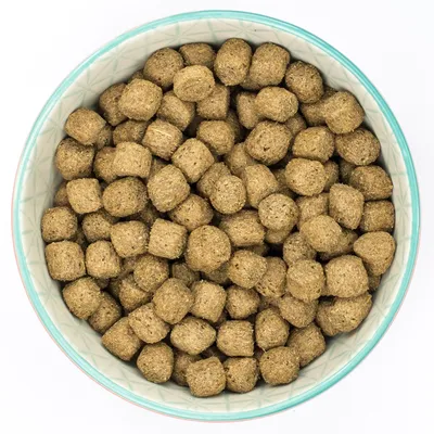 Bowl filled with round, brown dry food pellets to show product shape and size.
